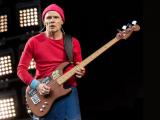 Якщо ви ще не чули сольний сингл від Flea з Red Hot Chili Peppers